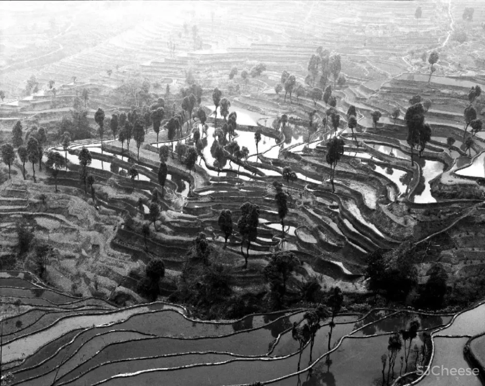 舒坦:在大理凤阳邑喝茶、洗片,他的“原生”乡建有何特别?