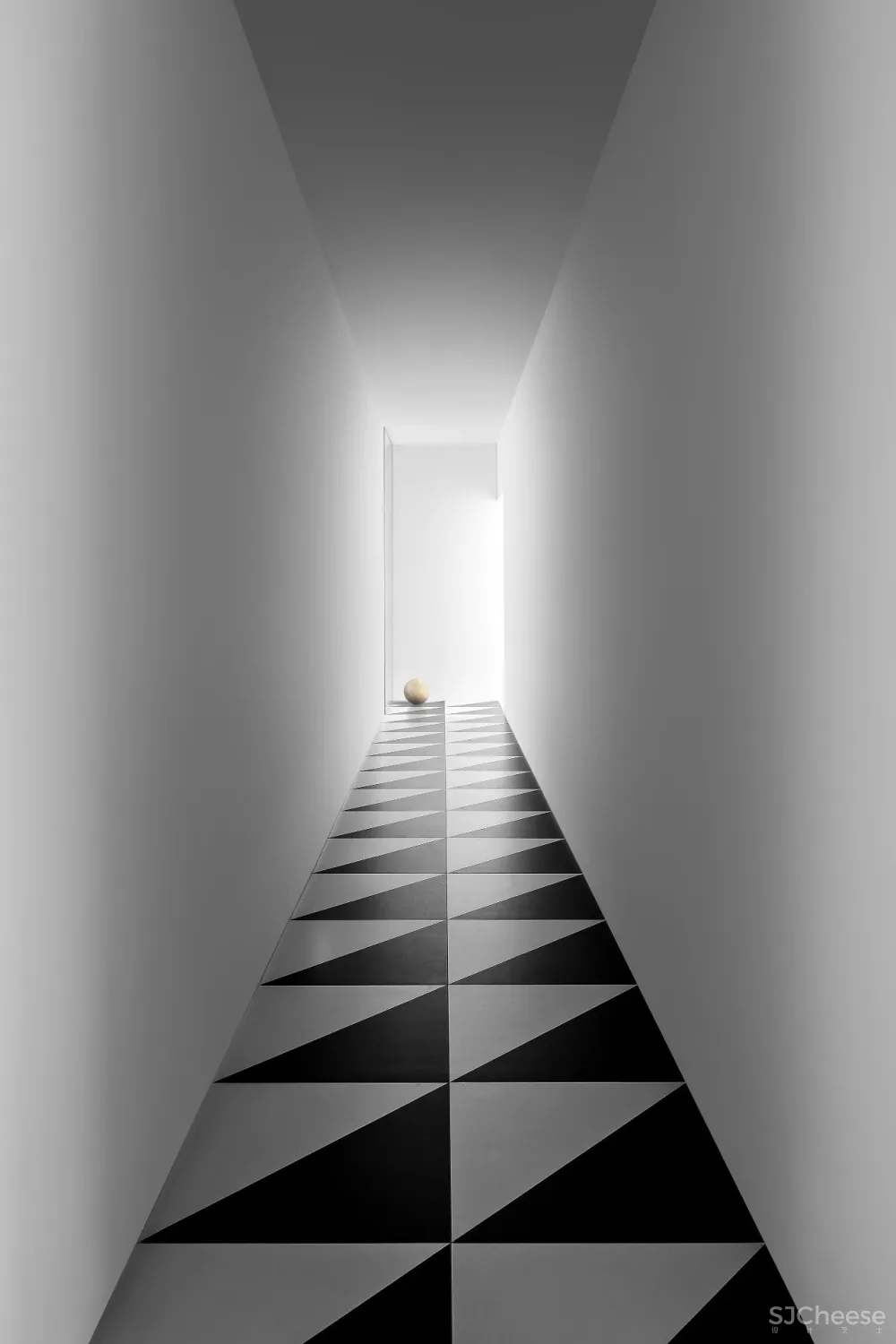 王鹏:一场跨越亿万年的爱恋!