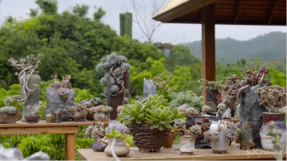 一个广东宅男,把游戏场景搬进30000m²的后花园,20年了还没造完