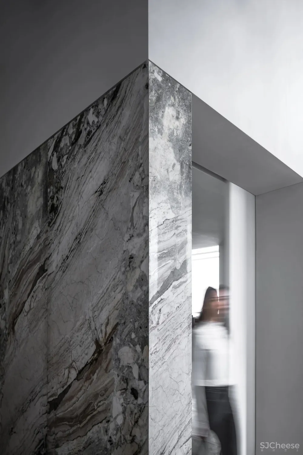 王鹏:一场跨越亿万年的爱恋!