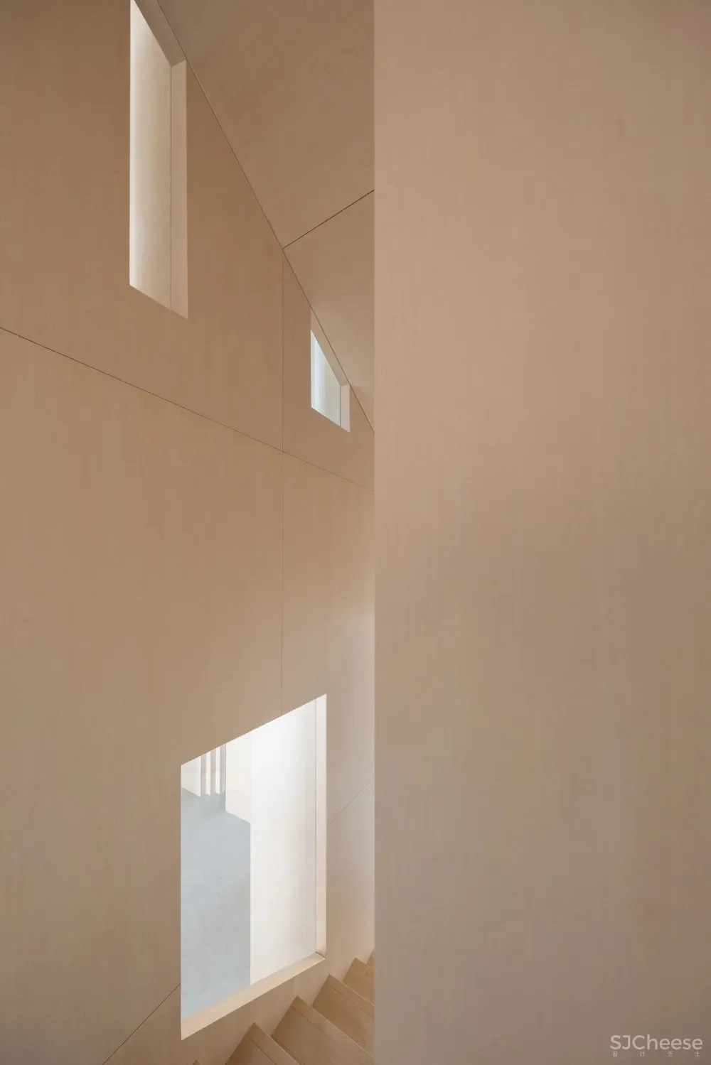 王鹏:一场跨越亿万年的爱恋!