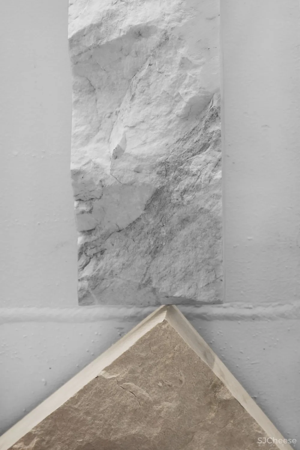 王鹏:一场跨越亿万年的爱恋!