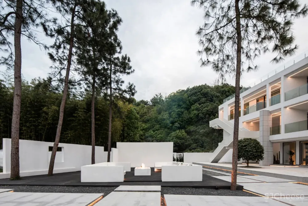 杉树林里的极美民宿