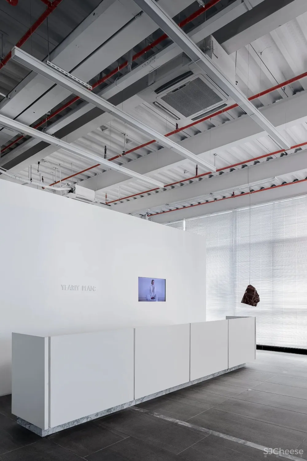 王鹏:一场跨越亿万年的爱恋!