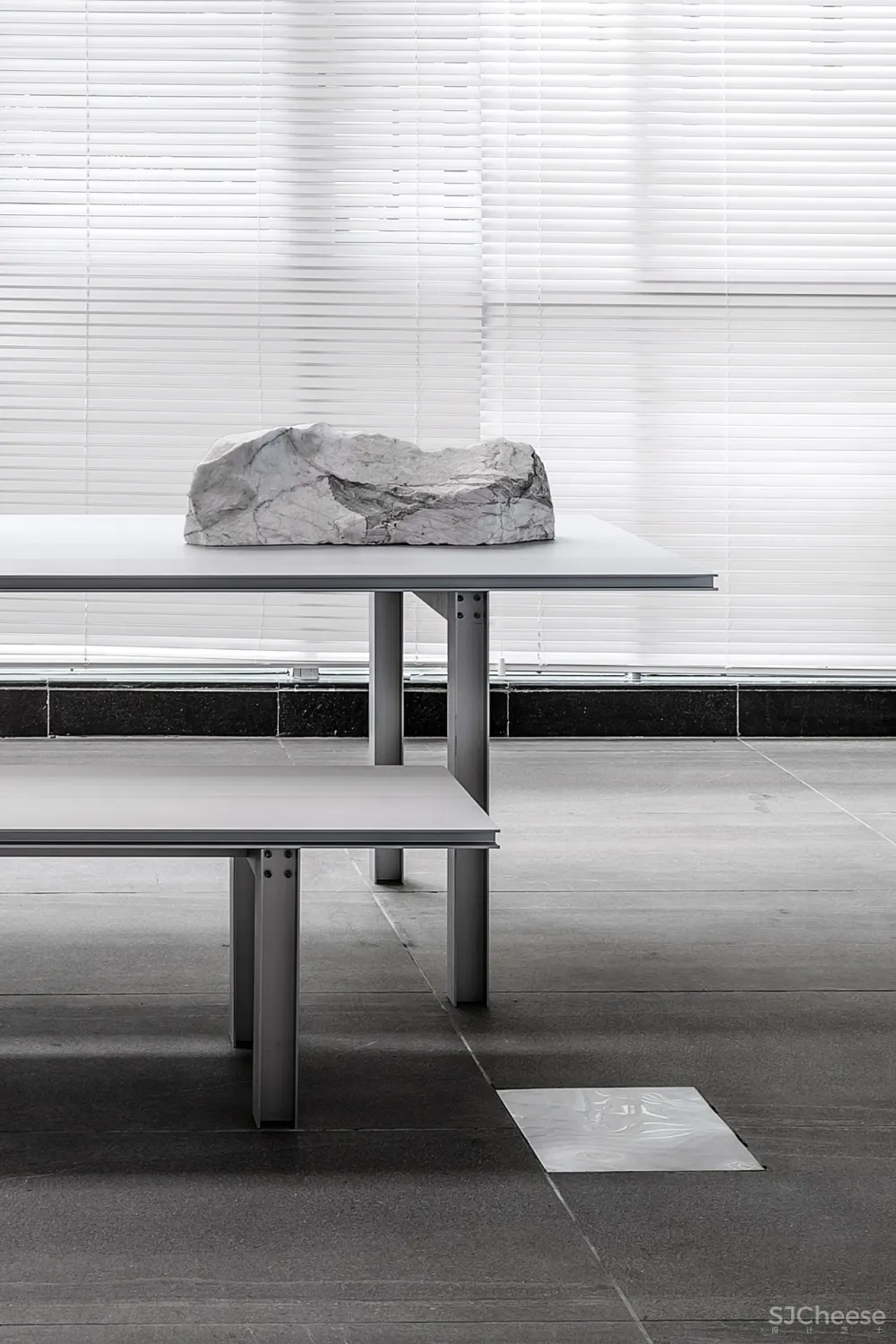 王鹏:一场跨越亿万年的爱恋!