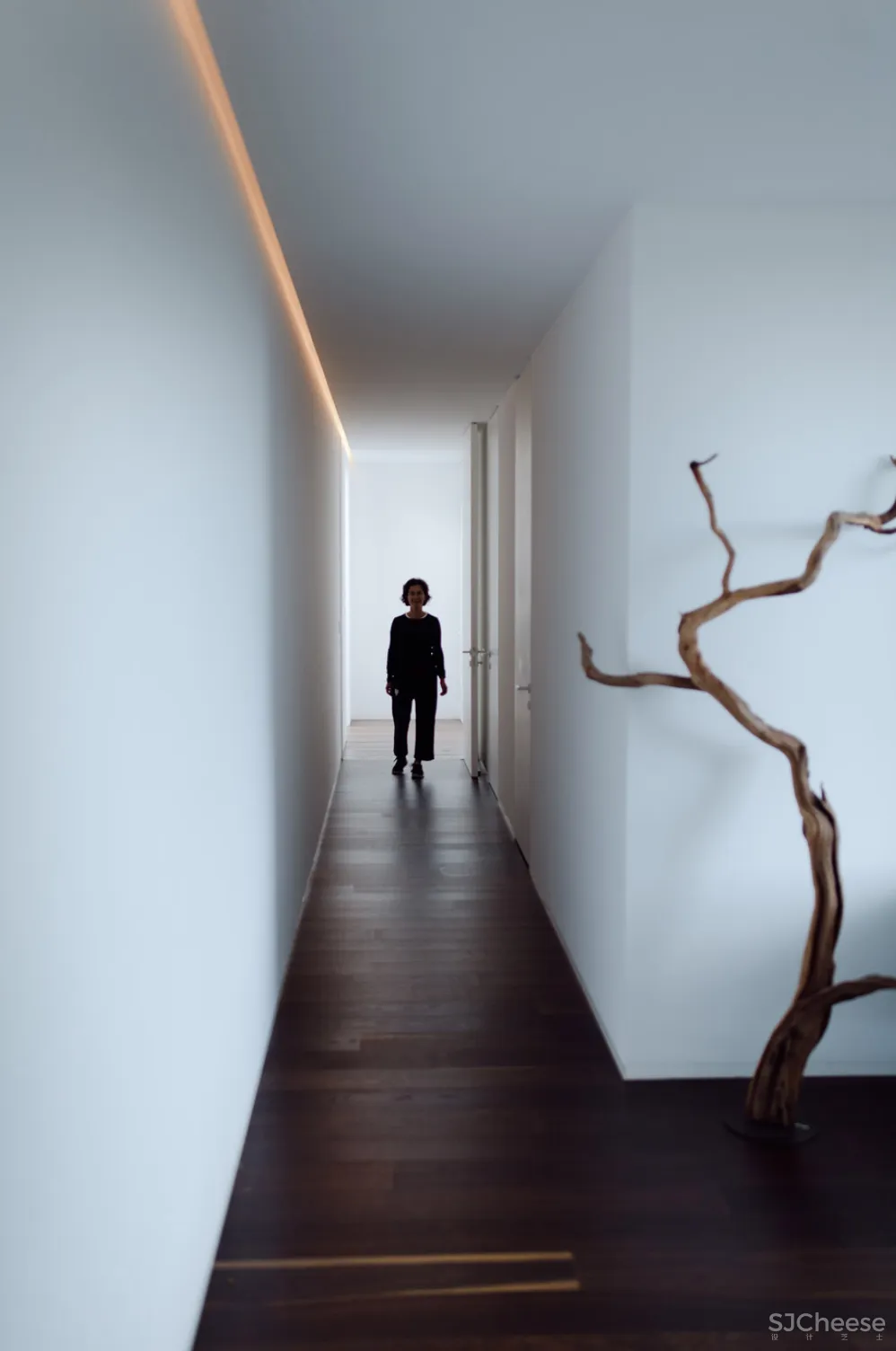 墨西哥的5个白色房子,纯净到让人感动!