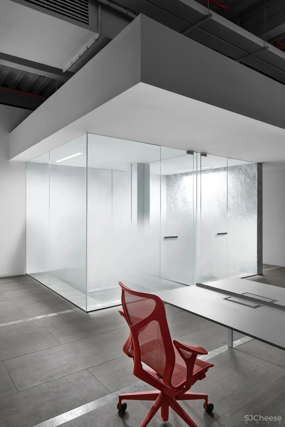 王鹏:一场跨越亿万年的爱恋!