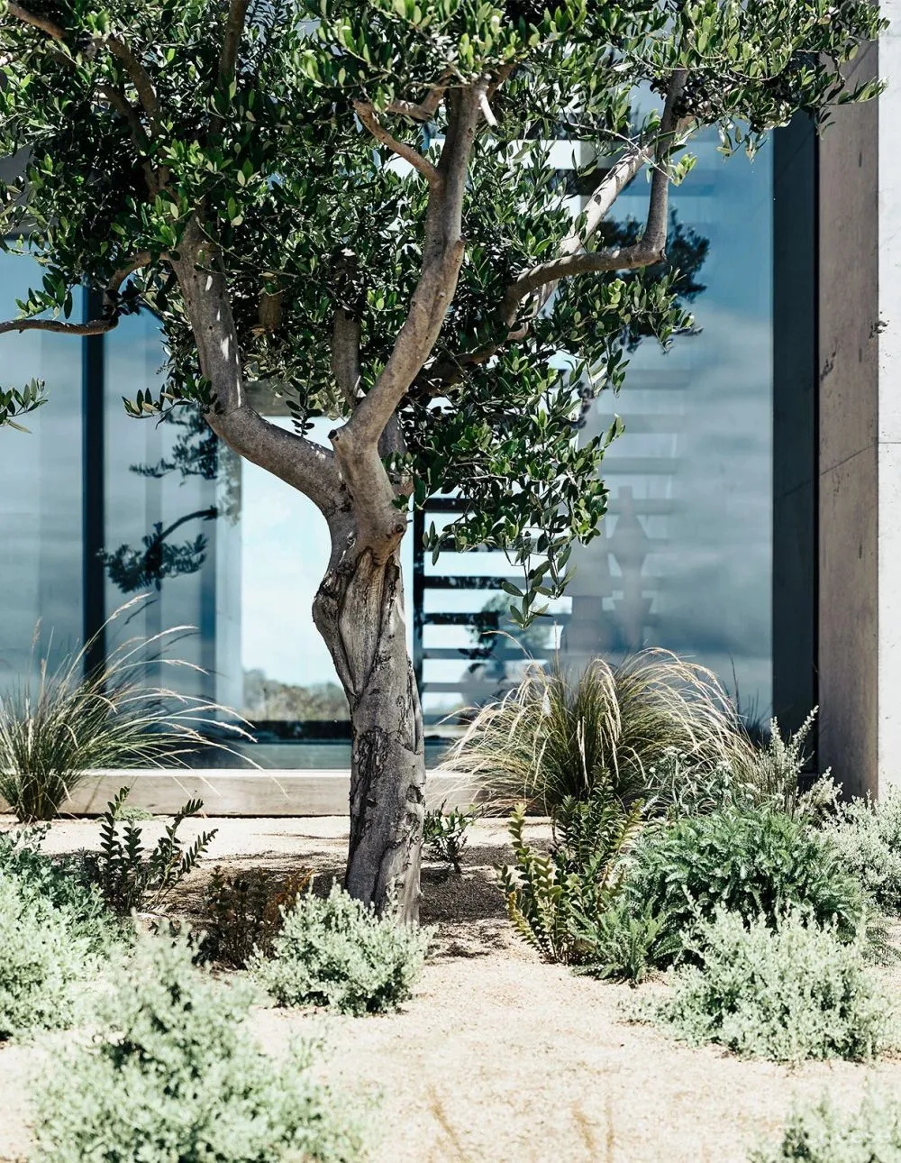 Planned Living丨澳大利亚乡土建筑的野性与诗意