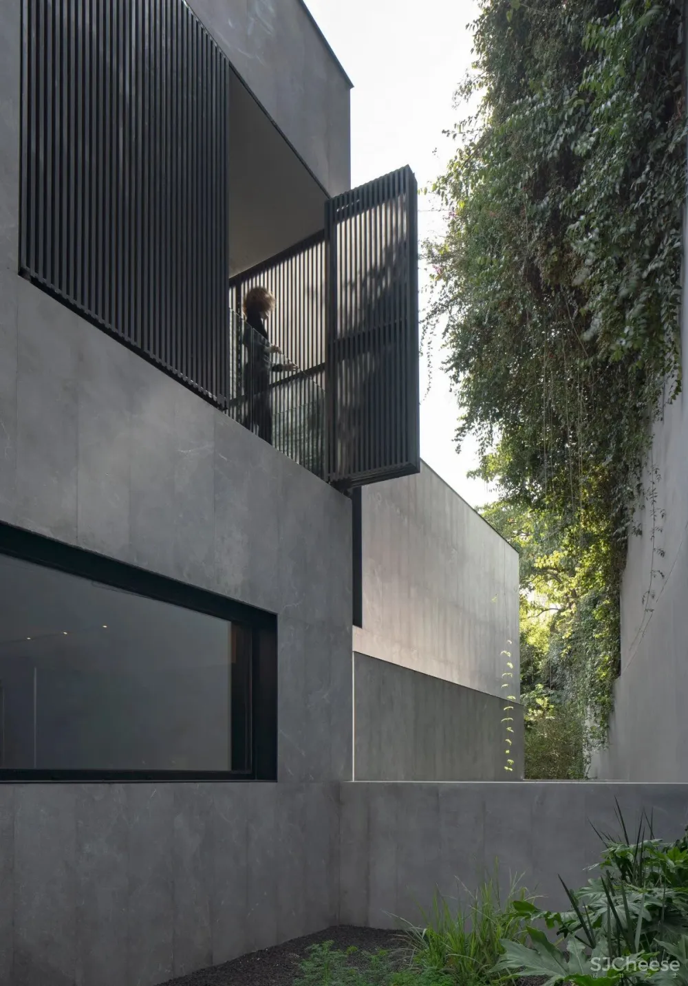 Francesc Rifé 专辑