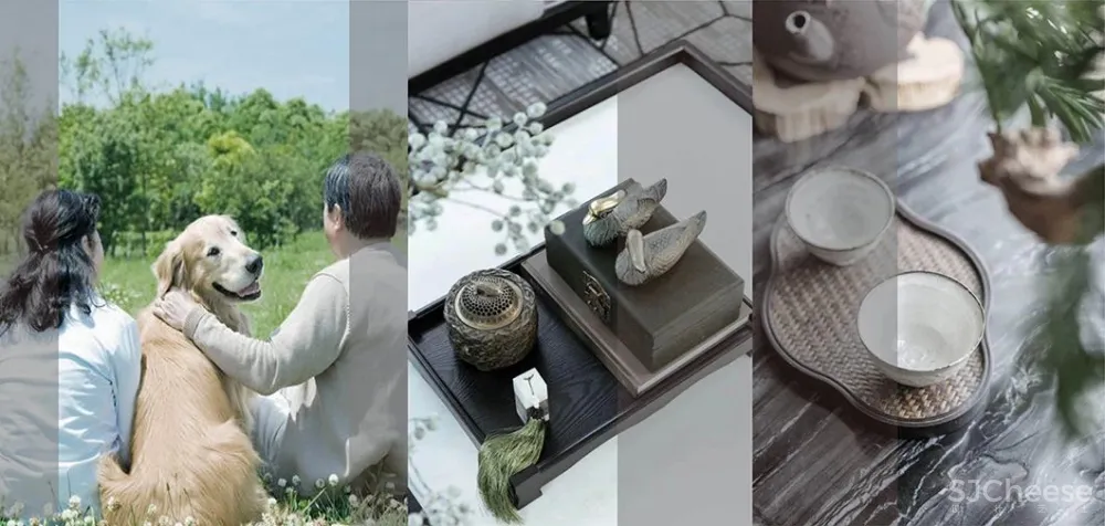 362m² 去繁从简,置身于艺术的灵动雅趣