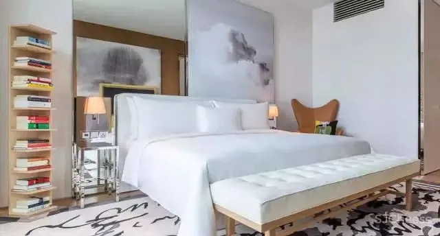 鬼才设计师Philippe Starck时尚营造-法国Brach 酒店!