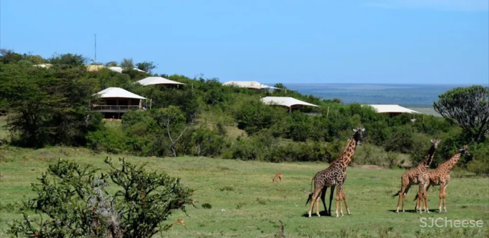 50个全球最美野奢酒店