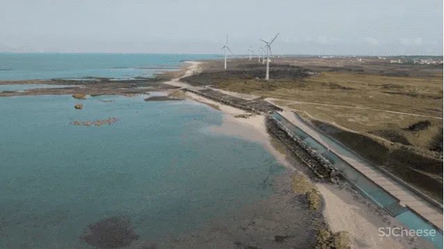 乡下大妈请日本人造房,修了6年,一扇窗都没有