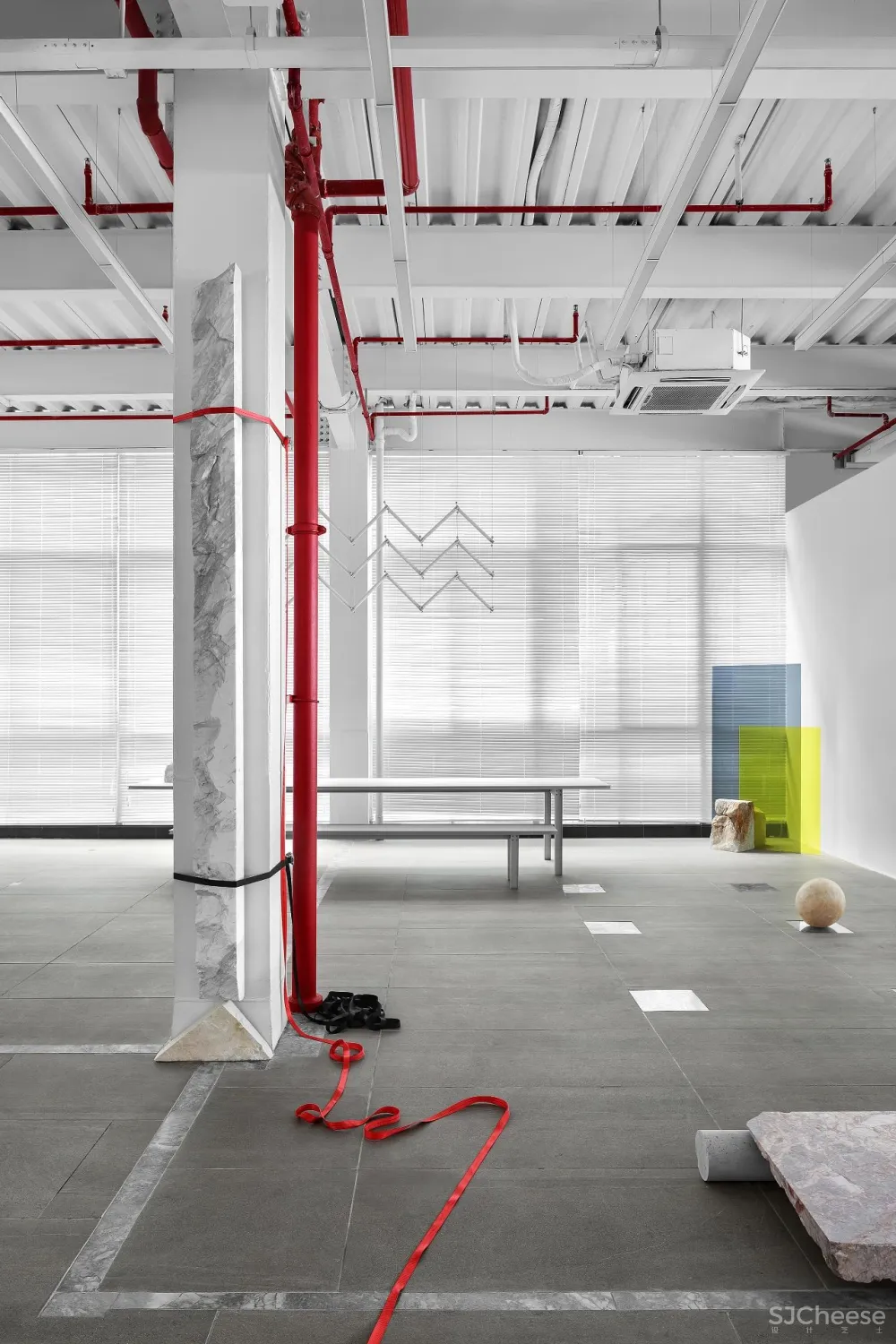 王鹏:一场跨越亿万年的爱恋!