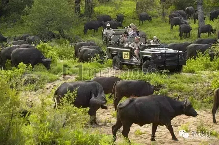 50个全球最美野奢酒店