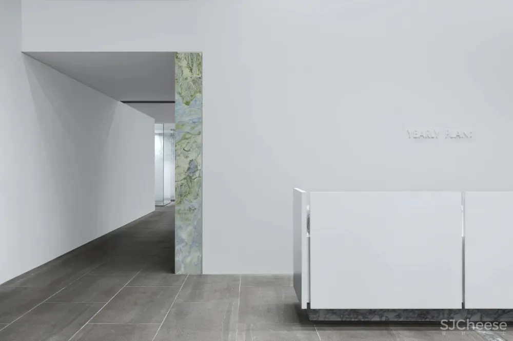 王鹏:一场跨越亿万年的爱恋!