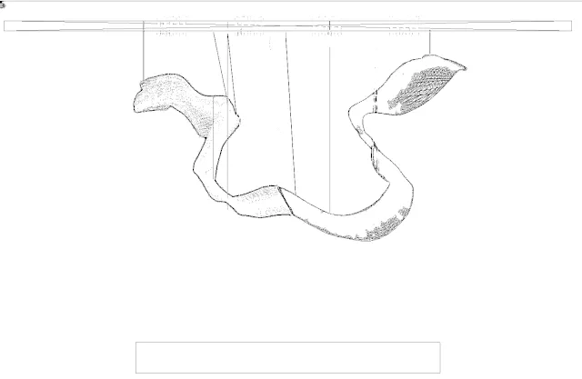 明德设计│江映重庆,欧风四季,大都会的流金岁月