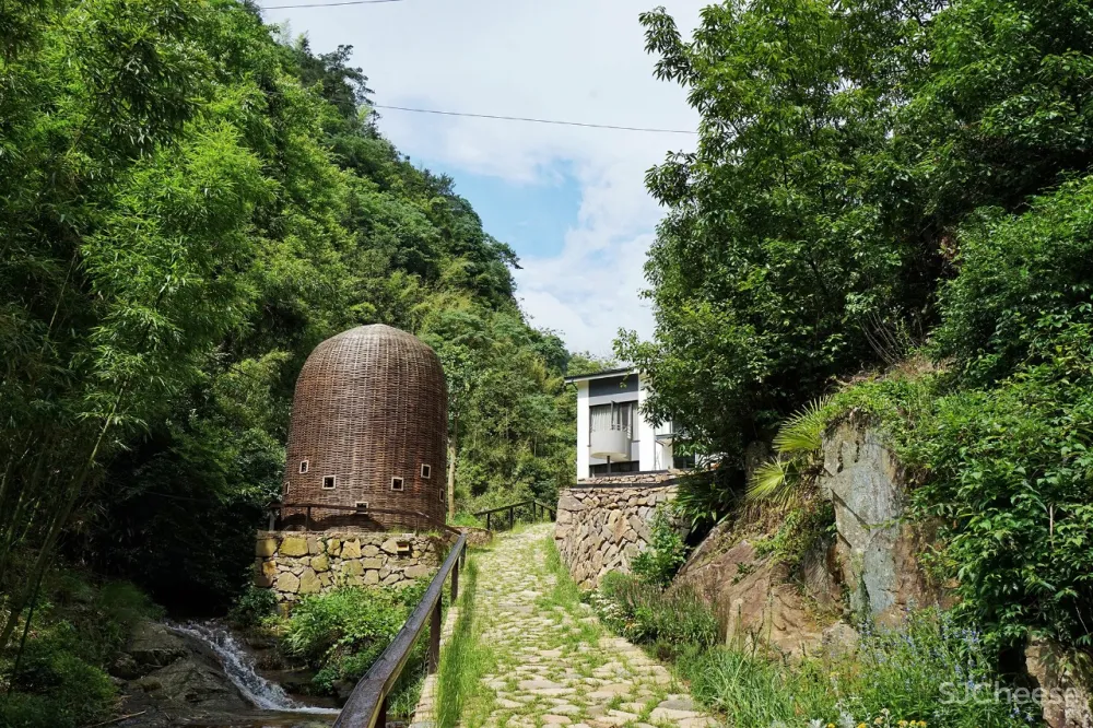 新挖到的隐秘玩水地, 直接睡入山溪间! 还原宫崎骏动漫里的夏天, 秒回无拘束童年时光