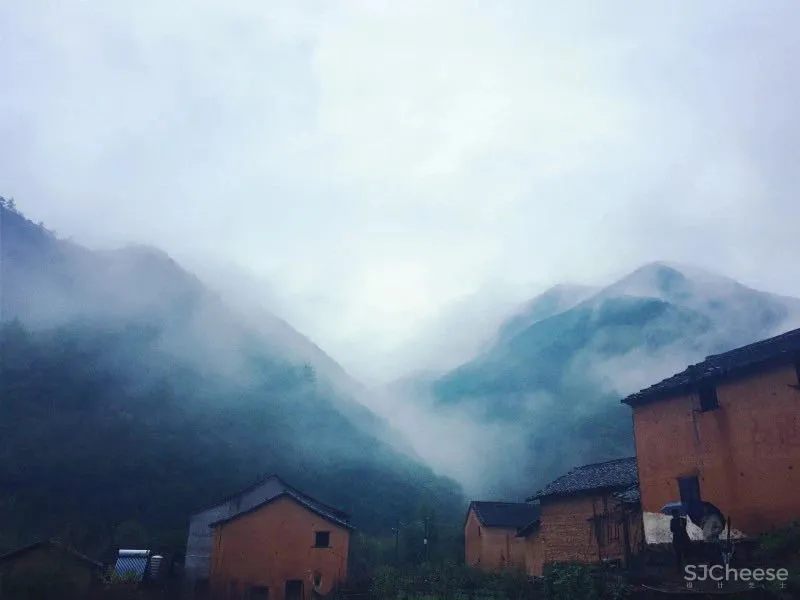 高铁仅0.5h,中国版「濑户内海」凭什么吸引年轻人疯狂打卡?