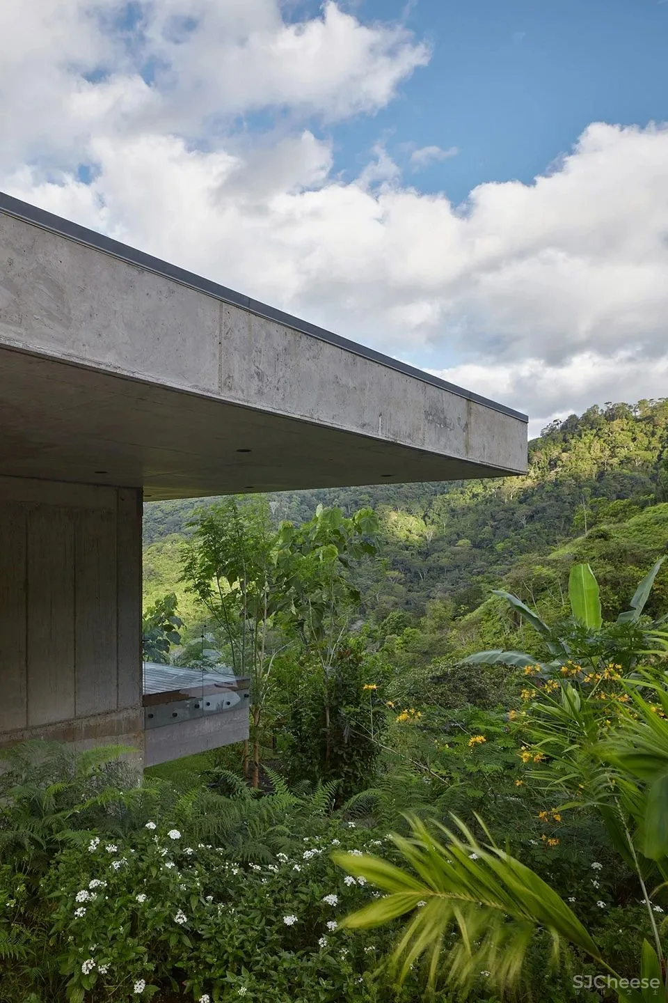 艺术住宅:兼具粗犷与奢华的独特体验,哥斯达黎加 Formafatal