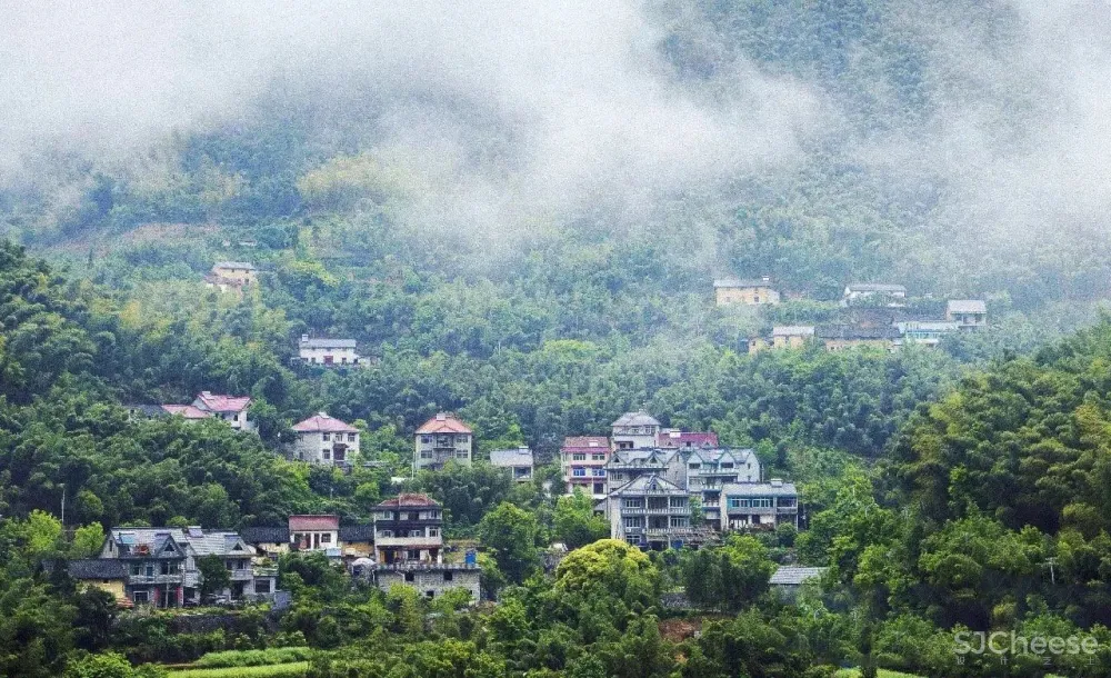 高铁仅0.5h,中国版「濑户内海」凭什么吸引年轻人疯狂打卡?