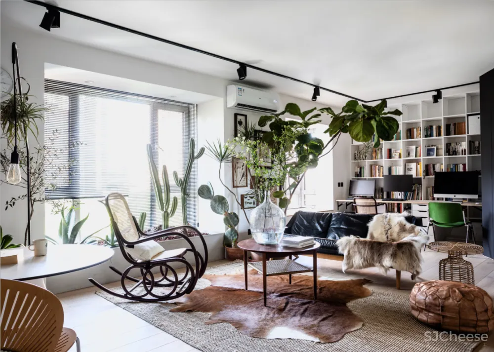 北京姑娘的63m²一室,满是植物标本、墨绿色彩!网友直呼:有仙气!