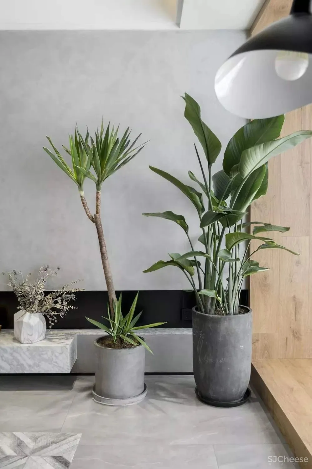 水泥墙，安之若素的静谧美学格调