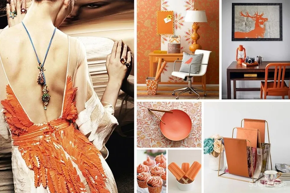 2020年流行色,美极了!