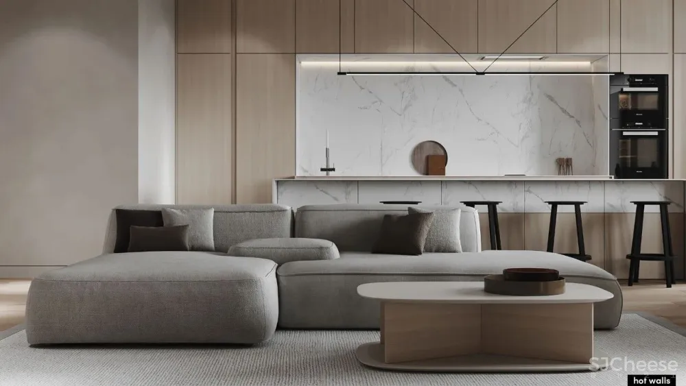 Mikhail Shaposhnikov 俄罗斯的极简主义