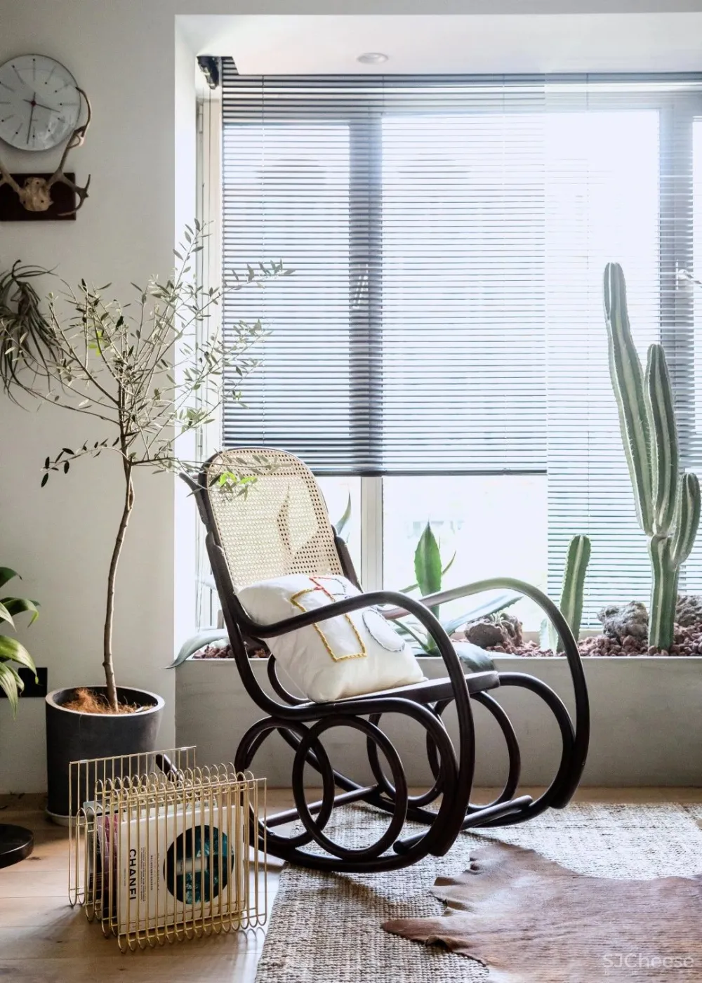 北京姑娘的63m²一室,满是植物标本、墨绿色彩!网友直呼:有仙气!