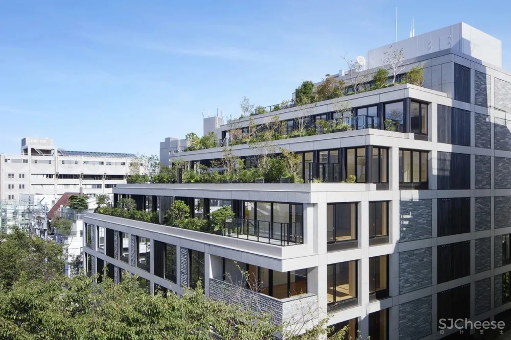 日本人的豪宅长啥样?依旧那么性冷淡!