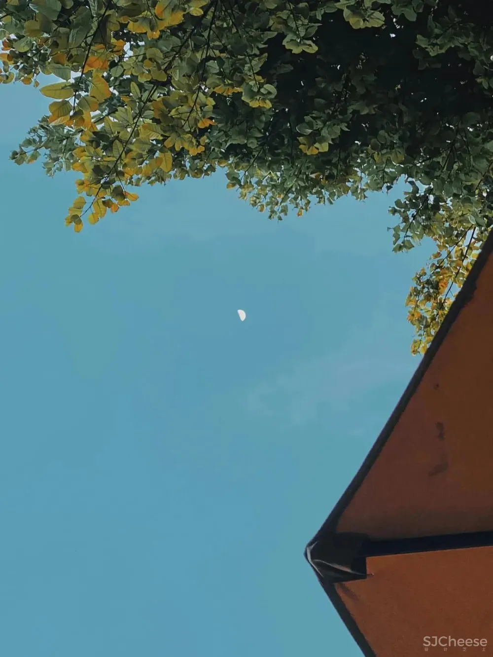 有光小旅馆:住进长江边的微型度假小岛,收获24小时不间断的“小确幸”