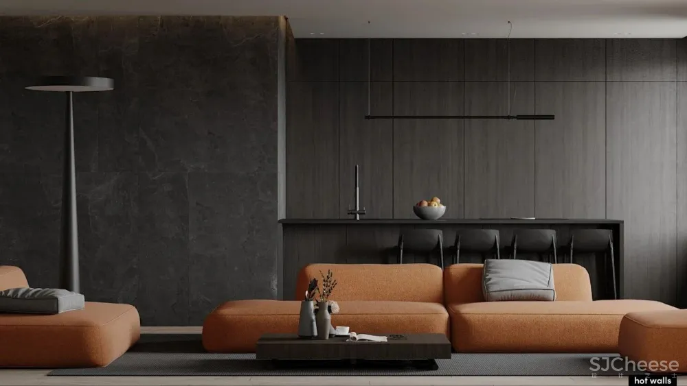 Mikhail Shaposhnikov 俄罗斯的极简主义