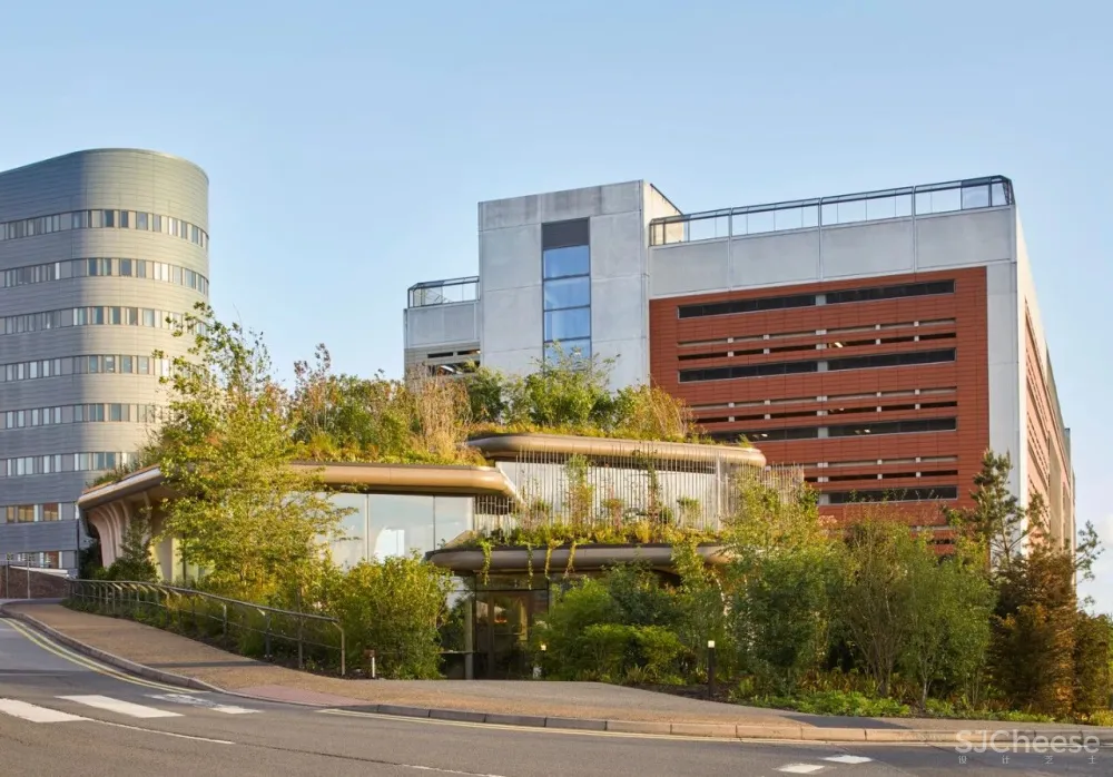 Heatherwick 新作‘麦琪癌症护理中心’，三座‘花盆’