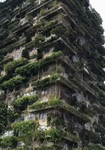 爆红的垂直森林,却被吐槽「蚊虫太多」「物业太贵」,阳台还是点到为止的绿化靠谱