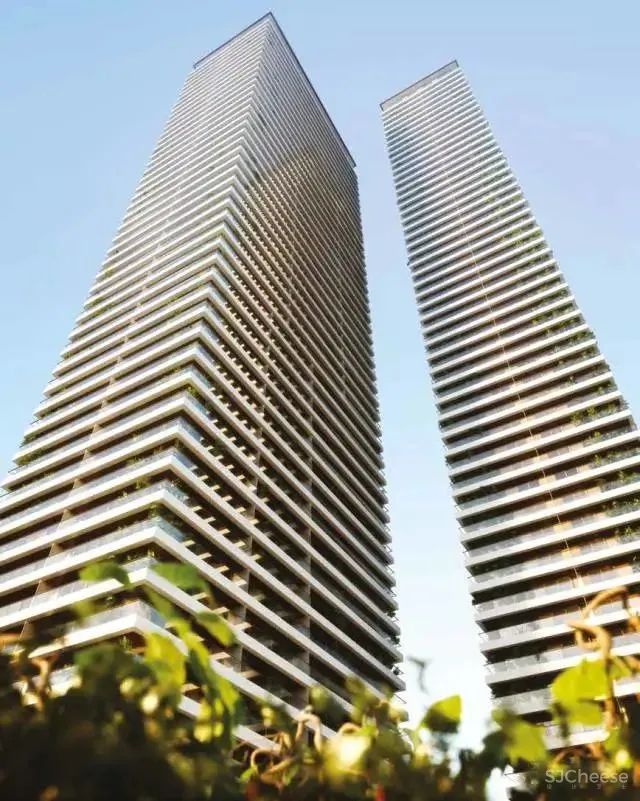 爆红的垂直森林,却被吐槽「蚊虫太多」「物业太贵」,阳台还是点到为止的绿化靠谱