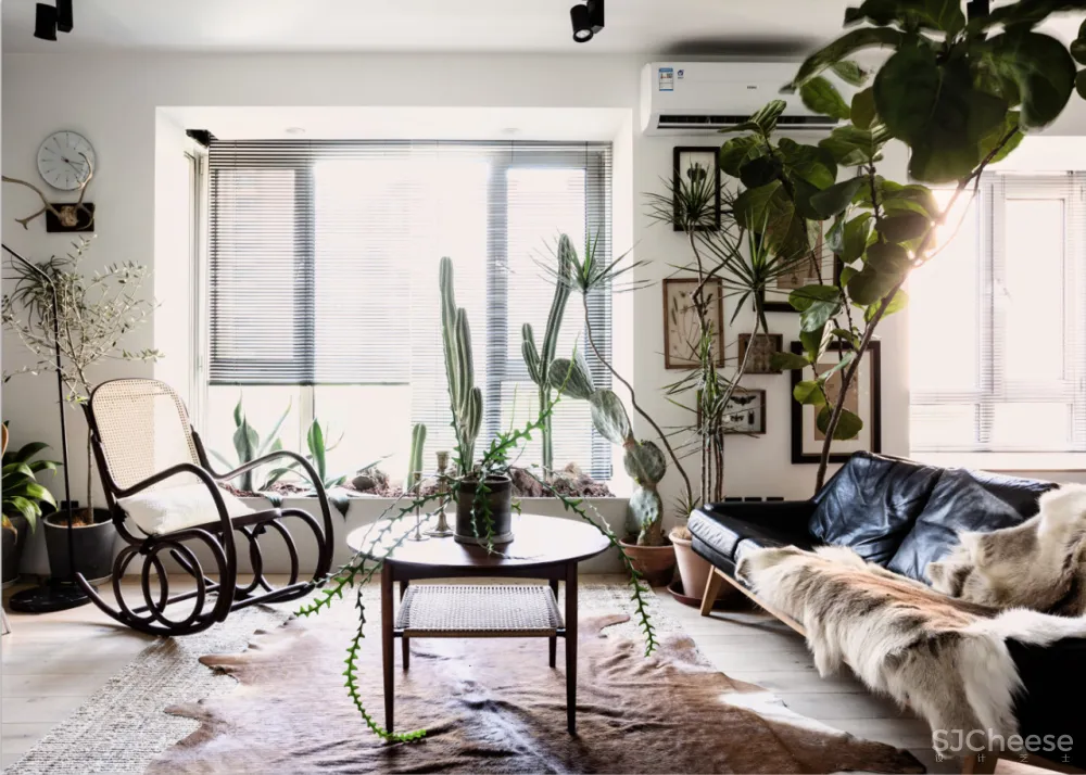 北京姑娘的63m²一室,满是植物标本、墨绿色彩!网友直呼:有仙气!