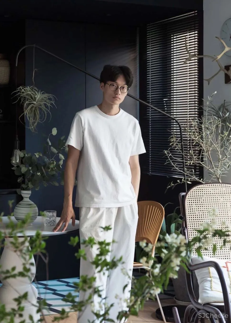 北京姑娘的63m²一室,满是植物标本、墨绿色彩!网友直呼:有仙气!