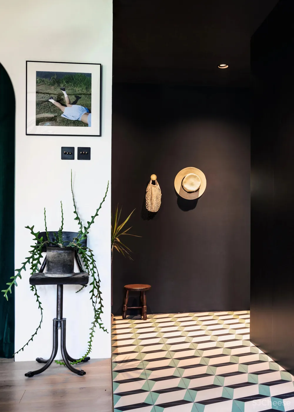 北京姑娘的63m²一室,满是植物标本、墨绿色彩!网友直呼:有仙气!