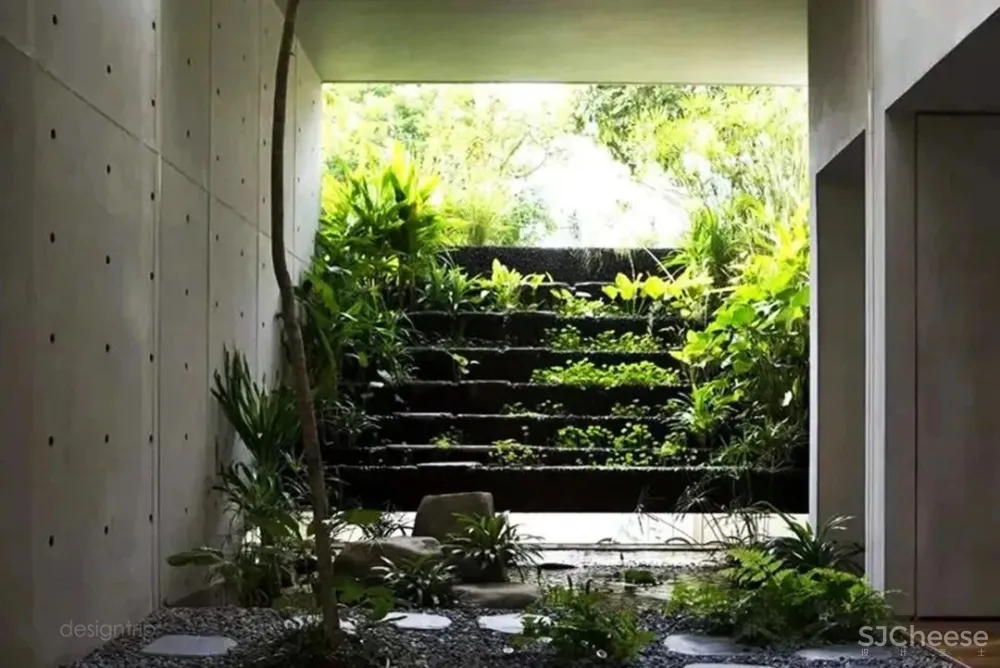 水泥墙，安之若素的静谧美学格调