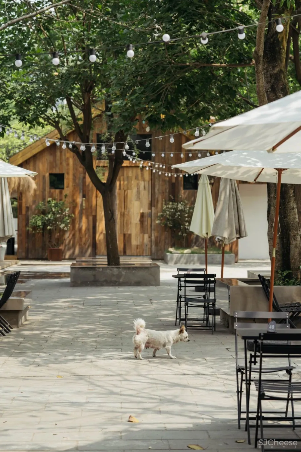 TavieLand塔未:在成都三环边,解锁一个法式“平行空间”