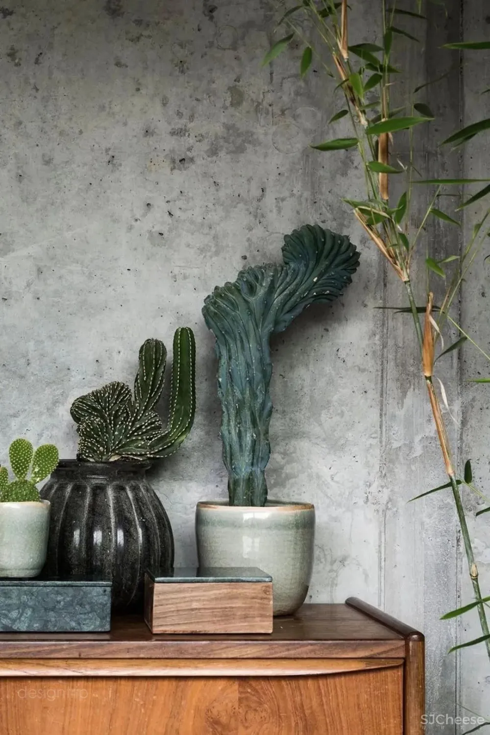 水泥墙，安之若素的静谧美学格调