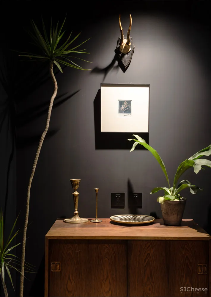 北京姑娘的63m²一室,满是植物标本、墨绿色彩!网友直呼:有仙气!