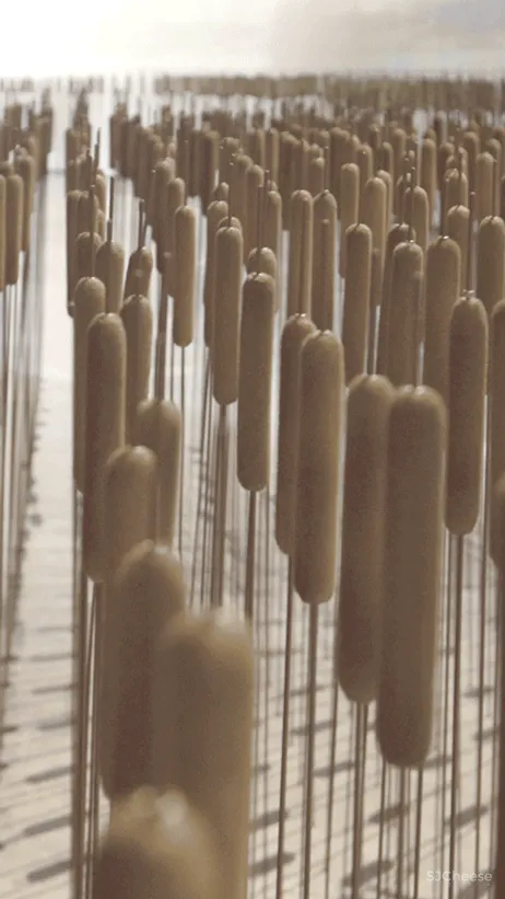 万科雁鸣湖,空灵静谧,心灵归栖