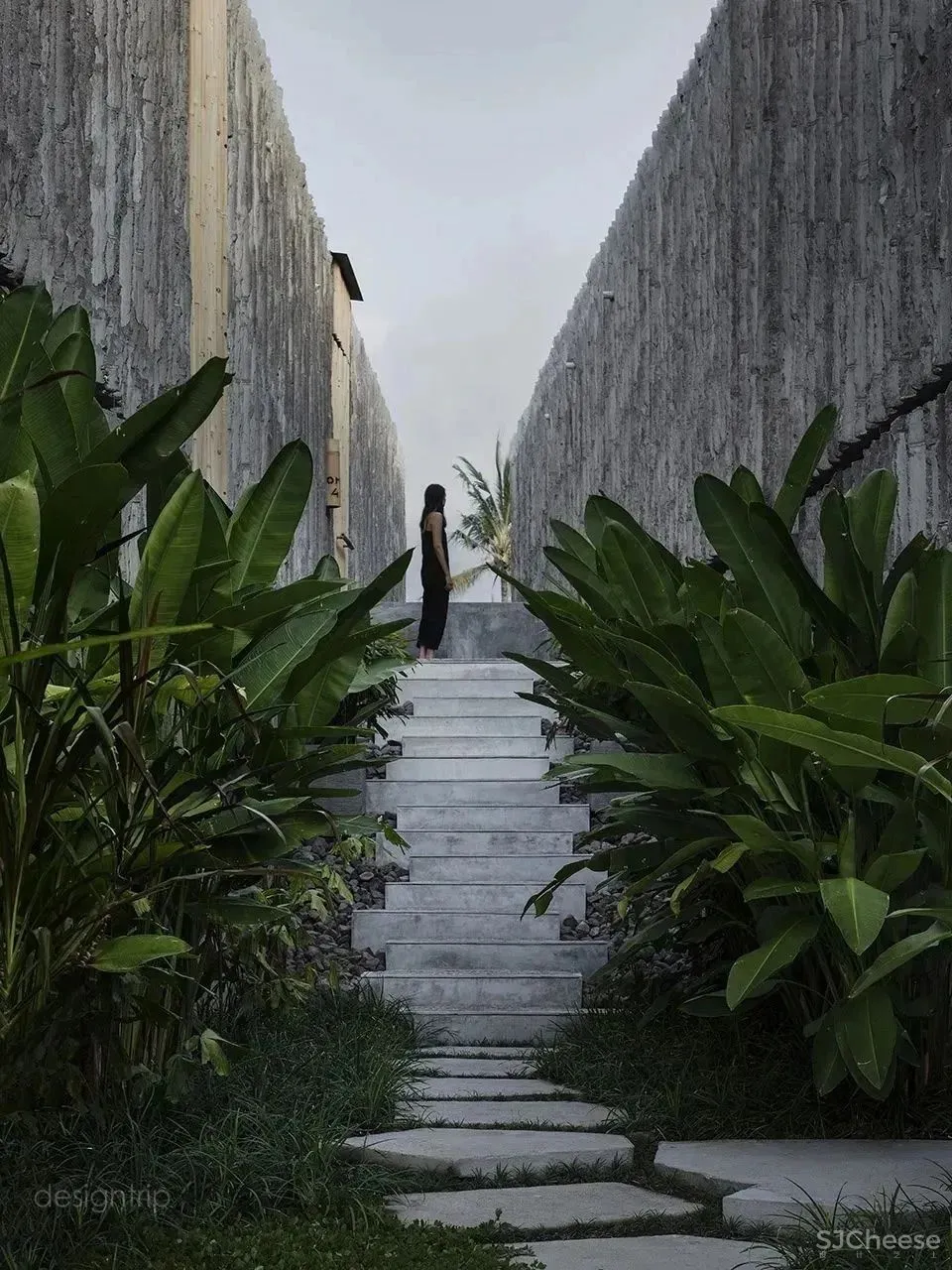 水泥墙，安之若素的静谧美学格调