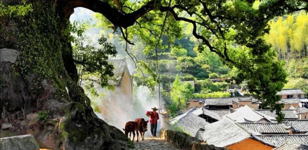 吕晓辉:“裸心”背后的建筑师,一直在和什么较劲?