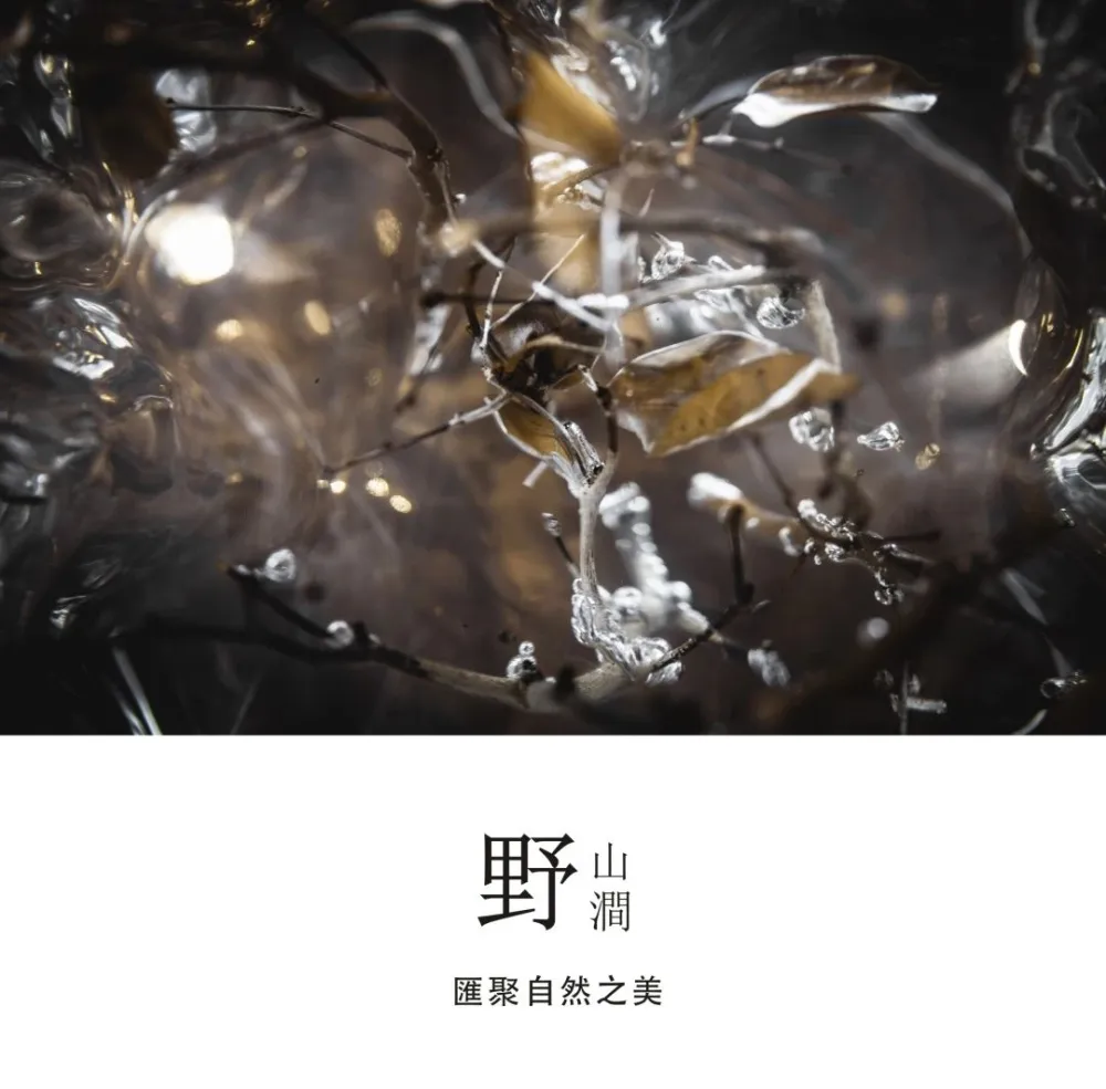 ArtHouse 观澜山宅，圆世野情怀