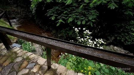 新挖到的隐秘玩水地, 直接睡入山溪间! 还原宫崎骏动漫里的夏天, 秒回无拘束童年时光