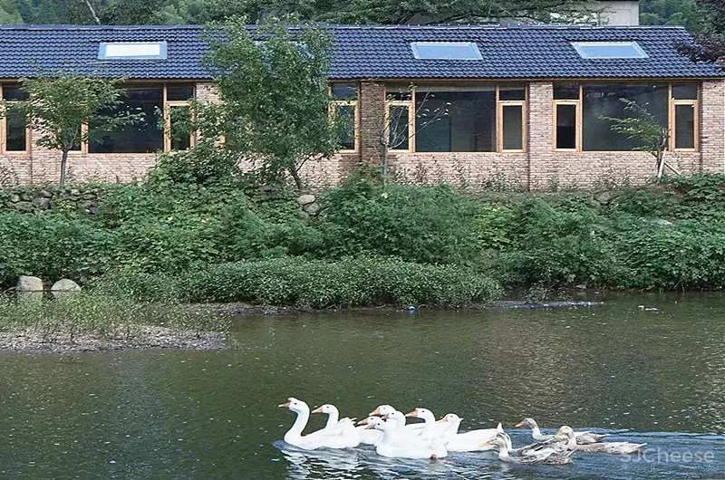 乡建如何不落俗套?15个最佳乡村建筑!