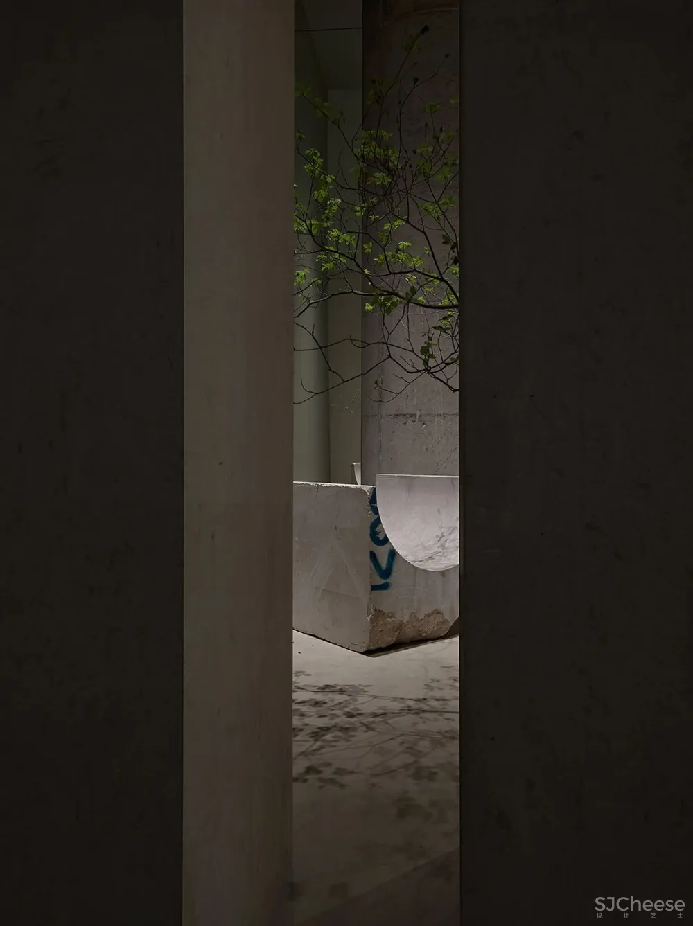 王鹏:深圳湾一号新开一家超惊艳的建筑厨房!